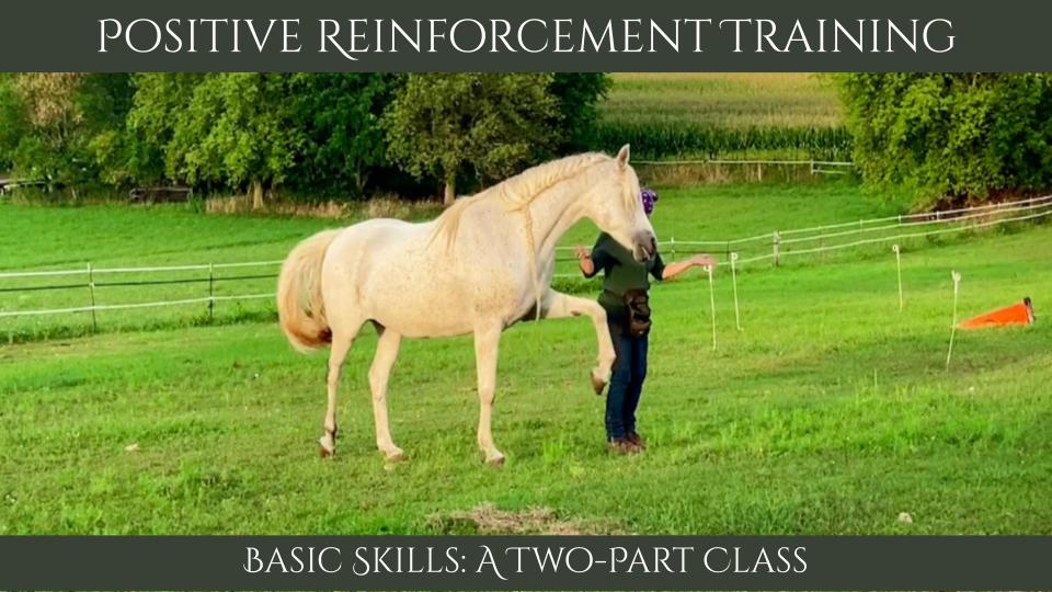 basic skills class | 01_Basic_Skills_Class.jpg