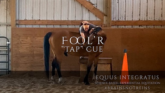 Fool'r - "tap" cue training plan and process