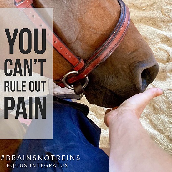 You can't rule out pain