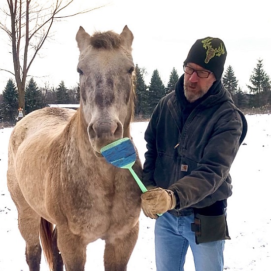 Targeting as a way to test a horse’s sense of sight