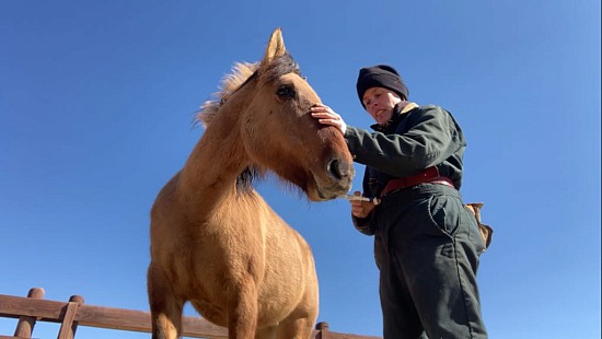 Bucky, oral meds progress