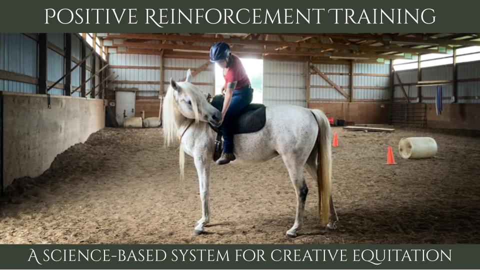 R+: a science-based system for creative equitation