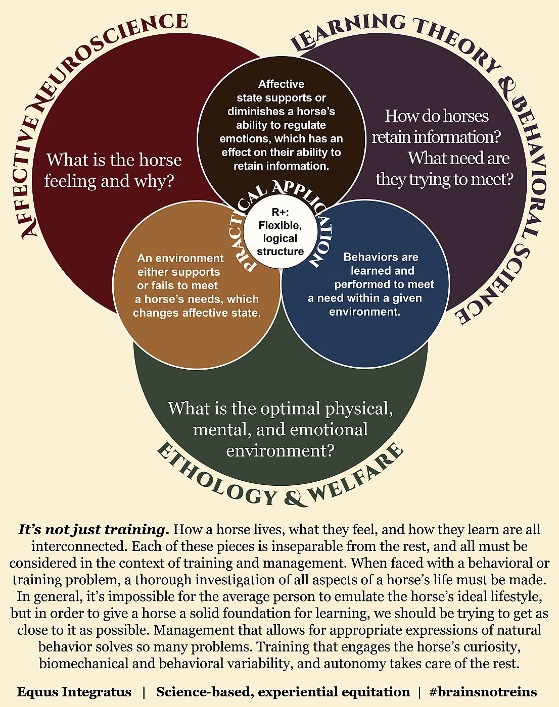 HorseWHY_Circular-Diagram_UPDATED-100923.jpg