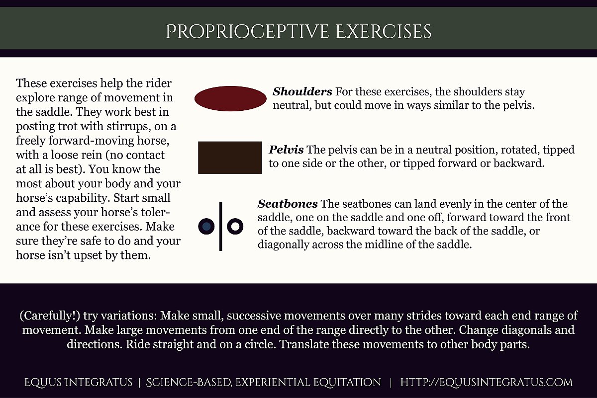 ExerciseDiagrams.jpg