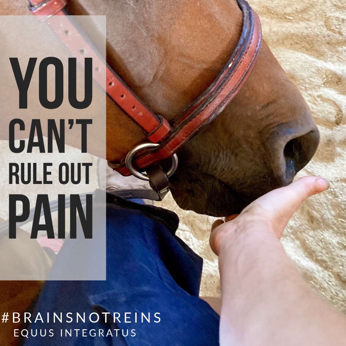 you can't rule out pain