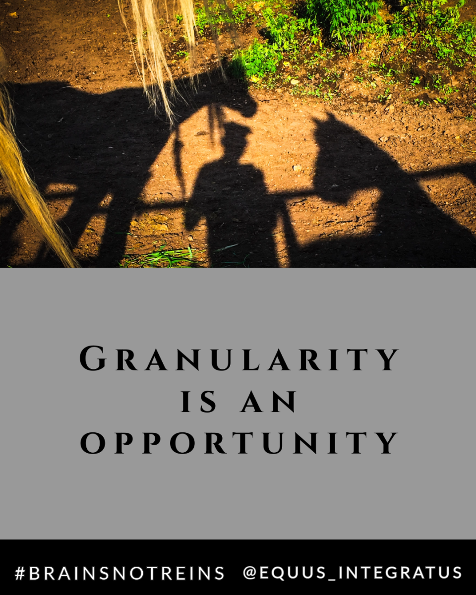 Granularity is an opportunity-1.png